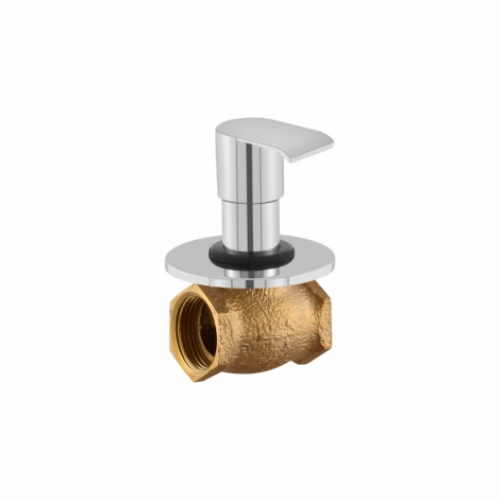 Flush Valve